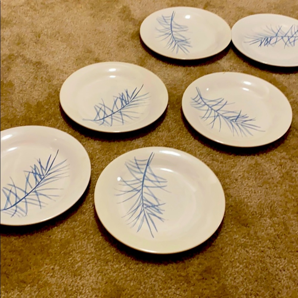 Salad Plates (6pc)